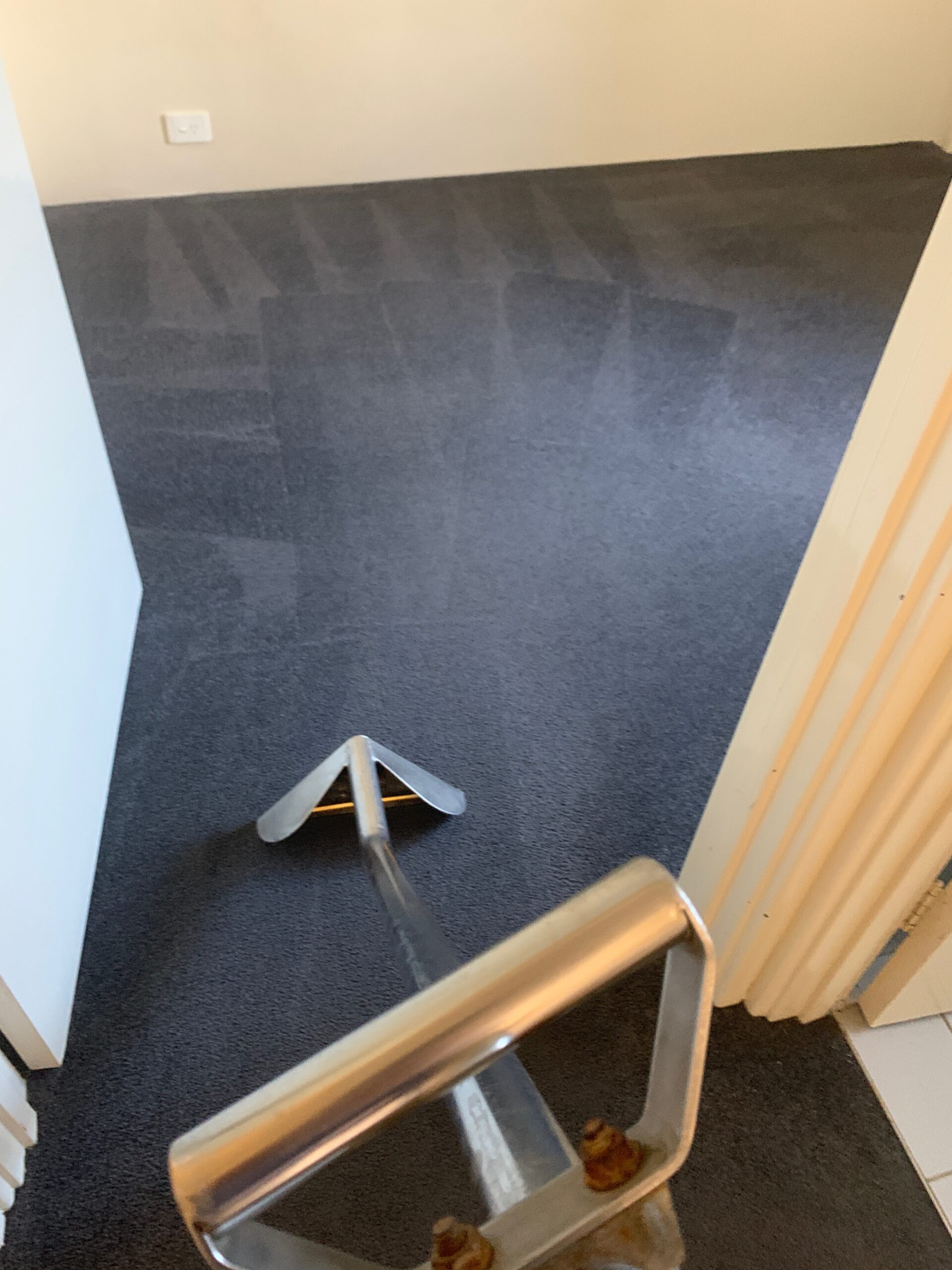 Carpet and floor cleaning service in progress